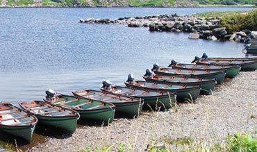 Lakelands Farm House Hotel Waterville Luaran gambar