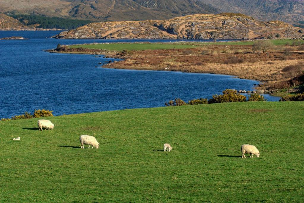 Lakelands Farm House Hotel Waterville Luaran gambar